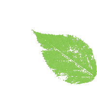 Weed Cannabis Sticker by UpNorth