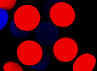 Burst Generator GIF by The Chemical Brothers