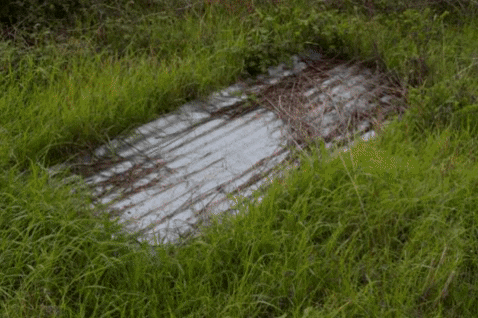 dapaderiveazioni giphygifmaker GIF