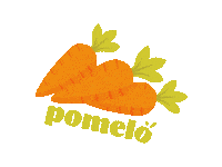 cateringpomelo health carrot pomelo marchewka Sticker