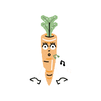 Carrot Sticker by Zdrowostki