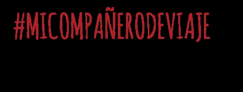 micompanerodeviaje giphygifmaker micompanerodeviaje GIF