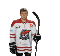 Společně Sticker by Piráti Chomutov