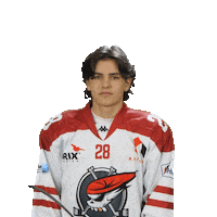 Společně Sticker by Piráti Chomutov