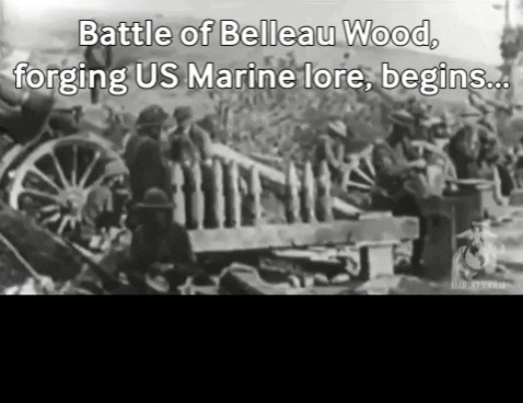 spsweeney91 giphygifmaker wwi world war i flag steward GIF