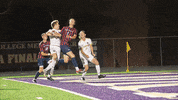 Lorasathletics Duhawkathletics GIF by Loras College