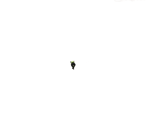 Blep GIF