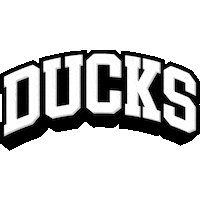 Ice Hockey Melbourne Sticker by icehq