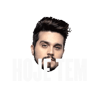 musica luansantana Sticker by Brahma Cerveja