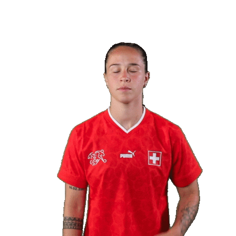 Link Switzerland Sticker by Swiss Football Association