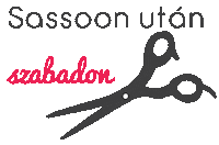 fodraszinfo hair magyar hairstyle hairdresser Sticker
