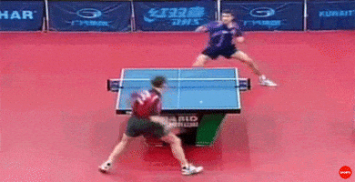 ping pong GIF