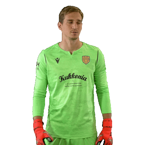 Dac 1904 Football Sticker by Nike liga