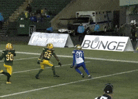 Blue Bombers Wilson GIF