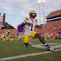 College Football Celebration GIF by LSU Tigers
