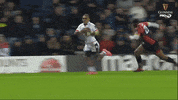 GIF by PRO14Official