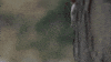 someone stalking GIF