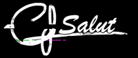 Chris_TDL_France french bonjour salut allo GIF