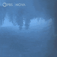 Snow Winter GIF by PBS Digital Studios