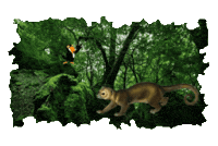 Animated Sticker