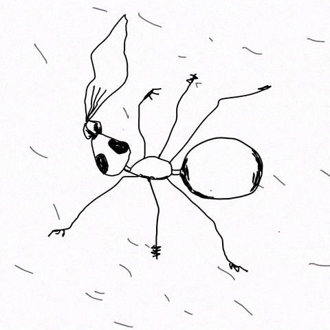 neptunyxa art animation illustration insect GIF