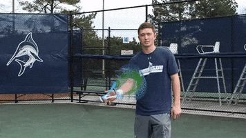 vwu_marlins marlins vwu wethebeach virginiawesleyan GIF