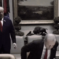Donald Trump GIF