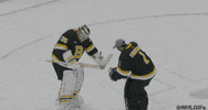 Happy Ice Hockey GIF by NHL