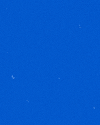 riverhawknation ncaa river hawks america east uml GIF