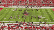 tbdbitl ohio state buckeyes ohio state buckeyes tbdbitl GIF