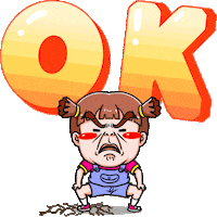 No Problem Ok Sticker