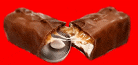 Chocolate Factory GIF by Alex Boya