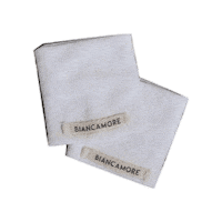 biancamore paestum biancamore polsini Sticker