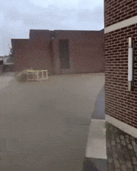 Electric Scooter GIF by Respective