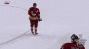Ice Hockey Sport GIF by NHL