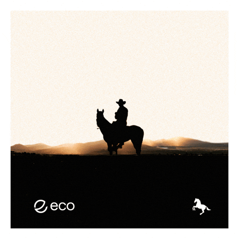 To The Moon Crypto GIF by Eco