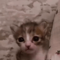 Almost Cry GIF