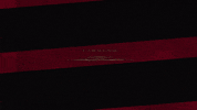 Western Sydney Wanderers Wsw GIF by wswanderersfc
