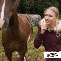 Kiss Me Love GIF by SWR Kindernetz