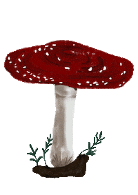 Plant Mushroom Sticker by Teaspoon studio