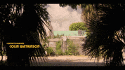 bravemanmedia fun florida bikes bicycles GIF