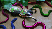 Stop Motion Art GIF by CreativeCooking