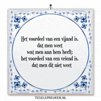 Troost Reflectie GIF by Tegelspreuken.nl