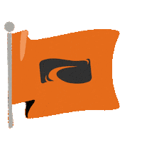 Orange Flag Sticker by LifeWay Students