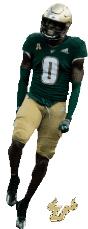 Usf Celebrating Sticker by SoFloBulls