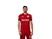 Bayer 04 Love Sticker by Bayer 04 Leverkusen