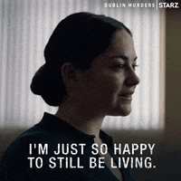 GIF by Dublin Murders