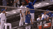major league baseball sport GIF by MLB
