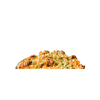 Beefbiryani Sticker by Provensols