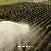 Irriga GIF by grupokrona